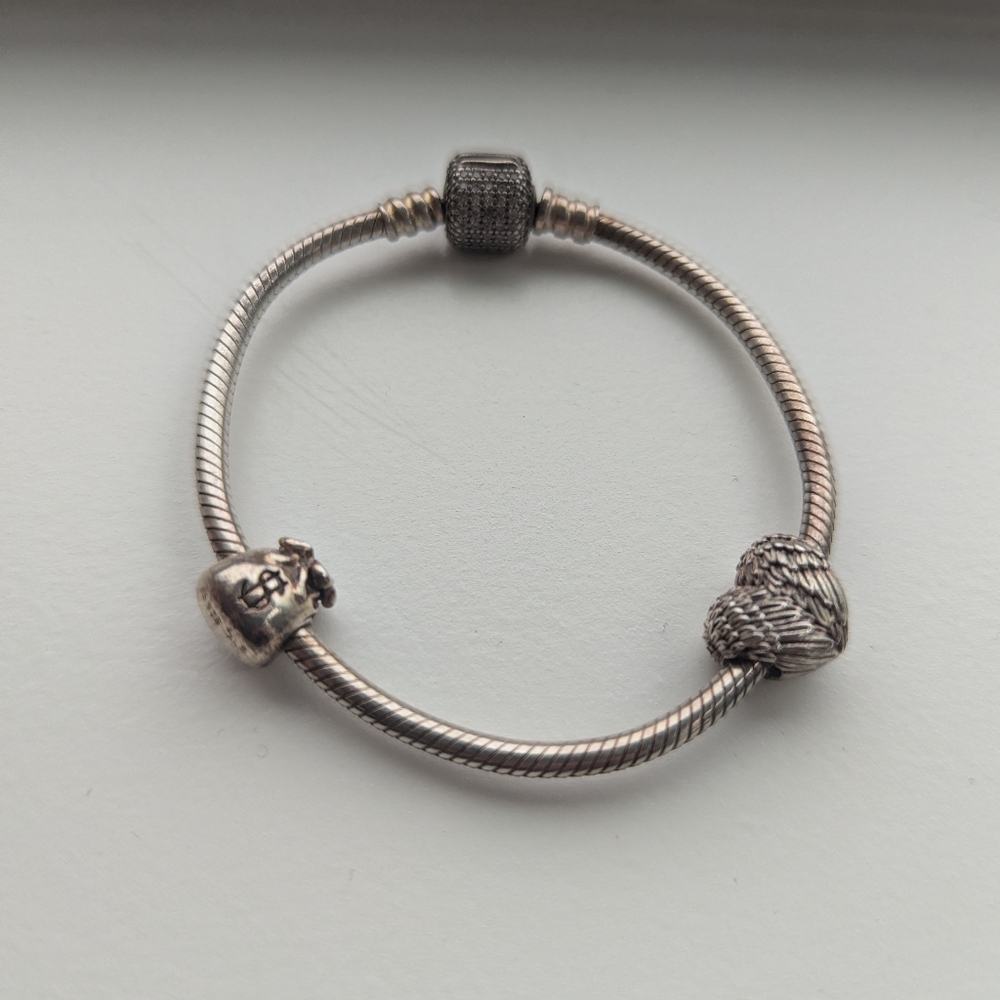Pandora Bracelet with Charms